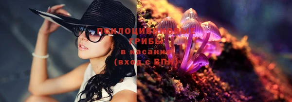 мяу мяу мука Балахна