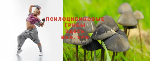мяу мяу мука Балахна