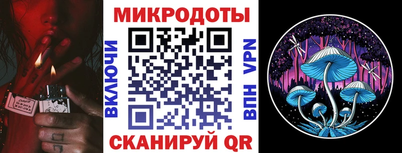 где можно купить   Няндома  МЕГА онион  Галлюциногенные грибы мицелий 